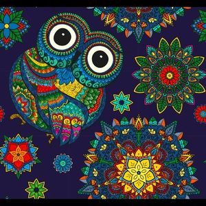 😱😱❤️❤️Whimsies Pillowcase!!!